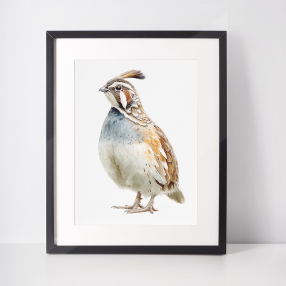 Watercolor Quail Wall Art Print, Unframed - Vibrant Nature-Inspired Home Decor - Picture 3 of 6